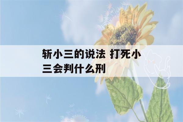 斩小三的说法 打死小三会判什么刑