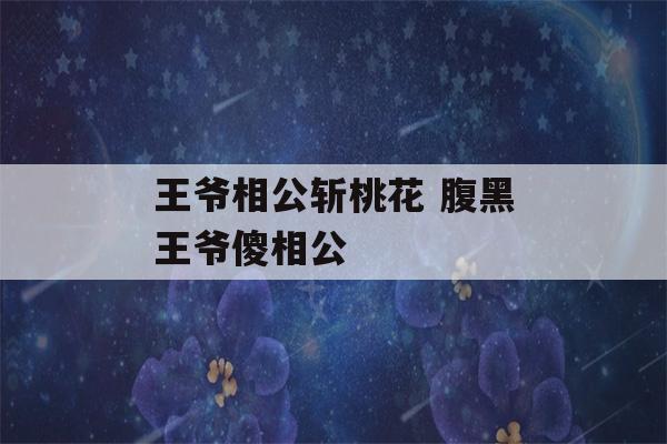 王爷相公斩桃花 腹黑王爷傻相公