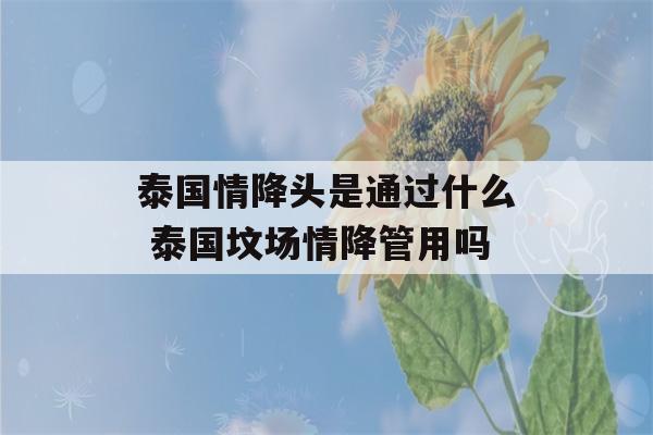 泰国情降头是通过什么 泰国坟场情降管用吗