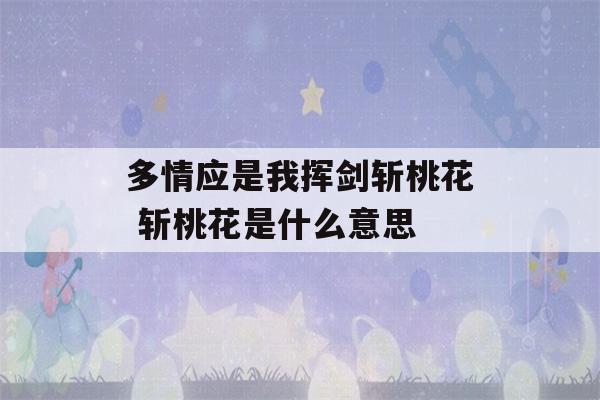 多情应是我挥剑斩桃花 斩桃花是什么意思