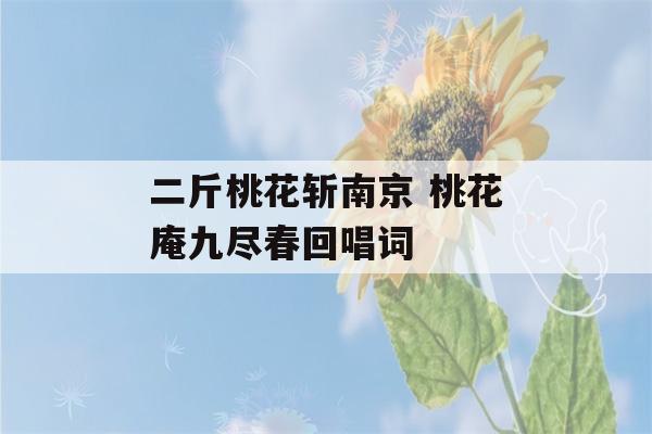 二斤桃花斩南京 桃花庵九尽春回唱词