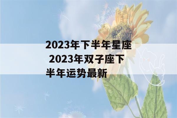 2023年下半年星座 2023年双子座下半年运势最新