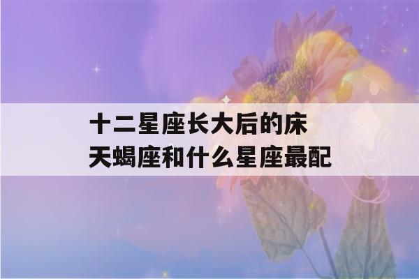 十二星座长大后的床 天蝎座和什么星座最配