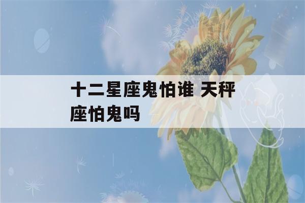 十二星座鬼怕谁 天秤座怕鬼吗