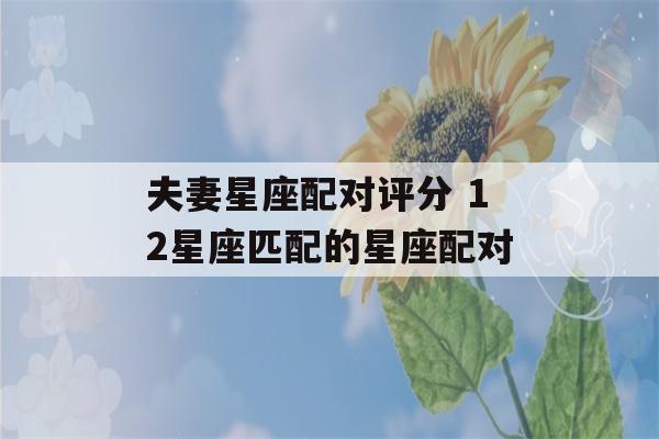 夫妻星座配对评分 12星座匹配的星座配对