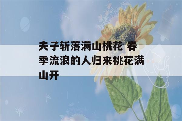 夫子斩落满山桃花 春季流浪的人归来桃花满山开