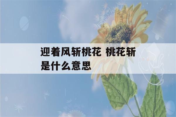 迎着风斩桃花 桃花斩是什么意思