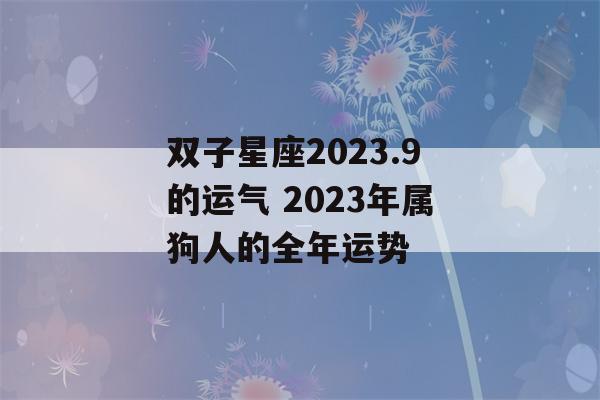 双子星座2023.9的运气 2023年属狗人的全年运势