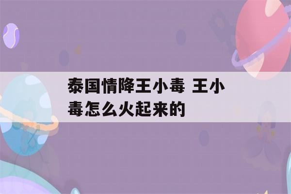 泰国情降王小毒 王小毒怎么火起来的