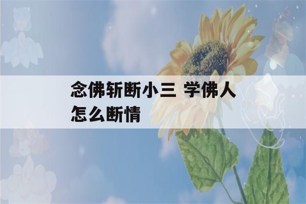 念佛斩断小三 学佛人怎么断情