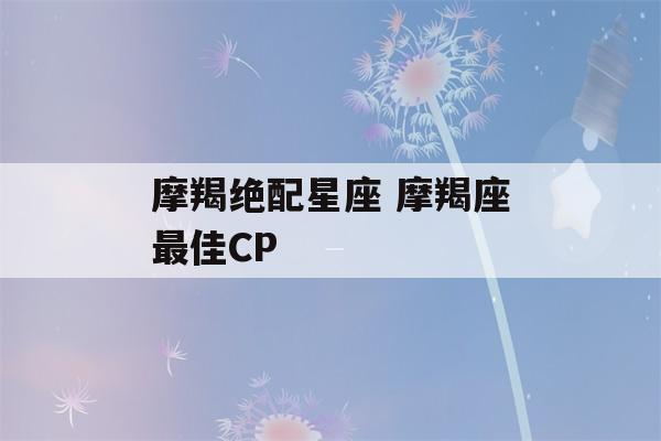 摩羯绝配星座 摩羯座最佳CP