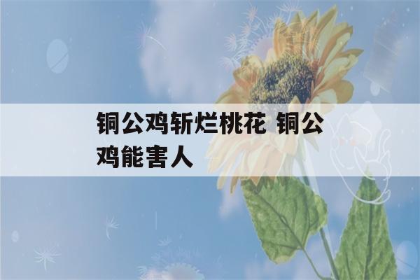 铜公鸡斩烂桃花 铜公鸡能害人