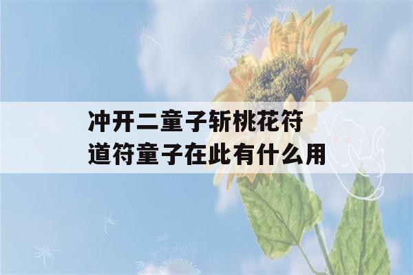 冲开二童子斩桃花符 道符童子在此有什么用