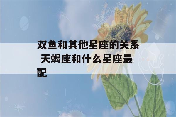 双鱼和其他星座的关系 天蝎座和什么星座最配