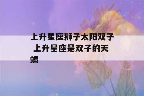 上升星座狮子太阳双子 上升星座是双子的天蝎