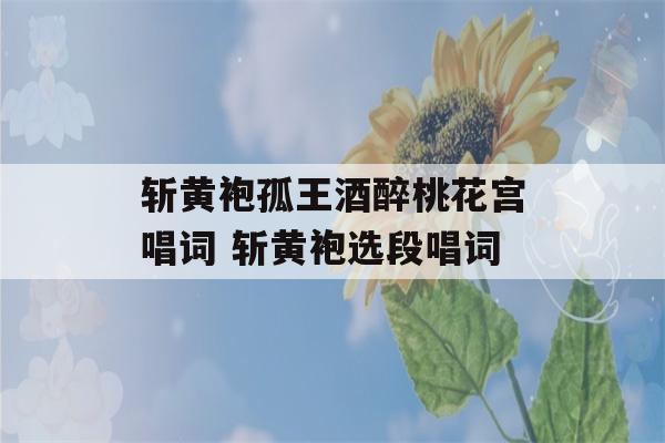 斩黄袍孤王酒醉桃花宫唱词 斩黄袍选段唱词