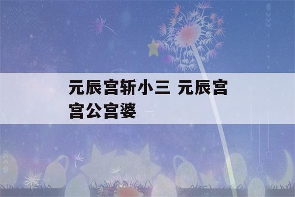 元辰宫斩小三 元辰宫宫公宫婆