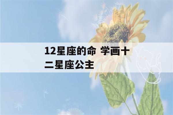 12星座的命 学画十二星座公主