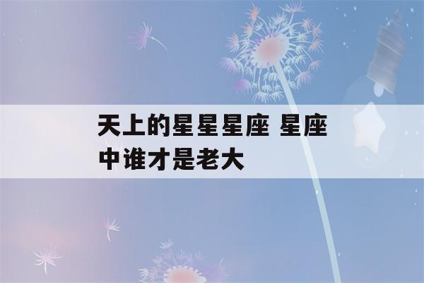 天上的星星星座 星座中谁才是老大