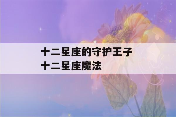 十二星座的守护王子 十二星座魔法