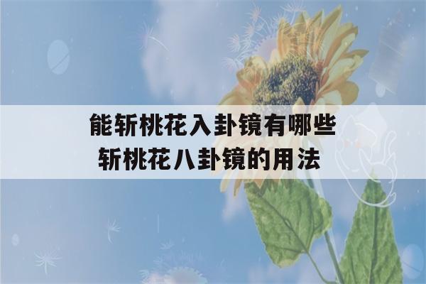 能斩桃花入卦镜有哪些 斩桃花八卦镜的用法