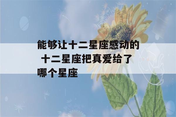 能够让十二星座感动的 十二星座把真爱给了哪个星座