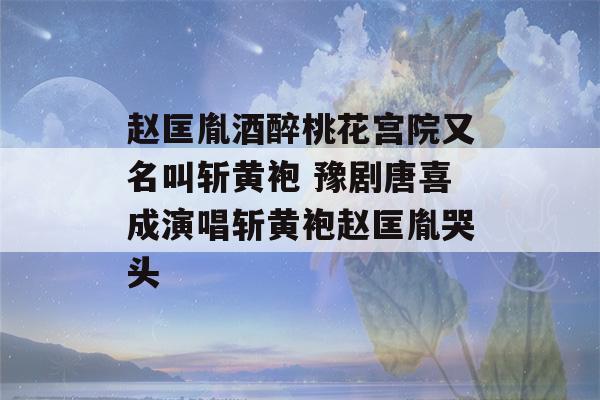 赵匡胤酒醉桃花宫院又名叫斩黄袍 豫剧唐喜成演唱斩黄袍赵匡胤哭头