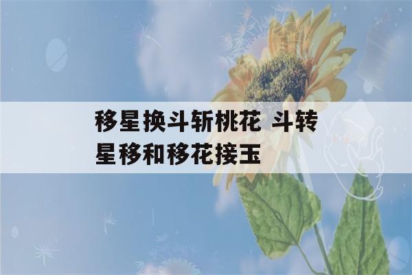 移星换斗斩桃花 斗转星移和移花接玉