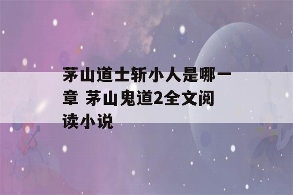 茅山道士斩小人是哪一章 茅山鬼道2全文阅读小说