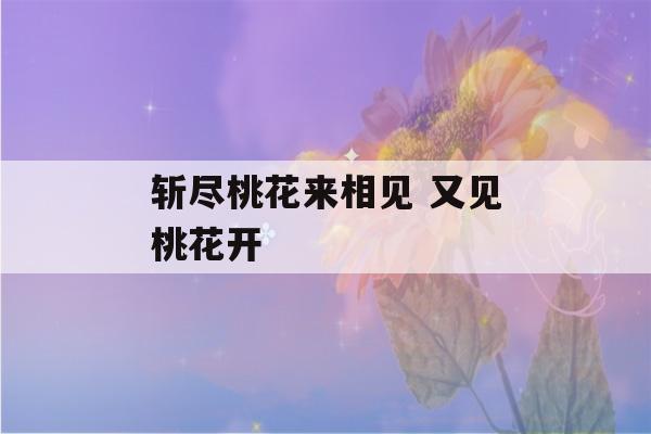 斩尽桃花来相见 又见桃花开