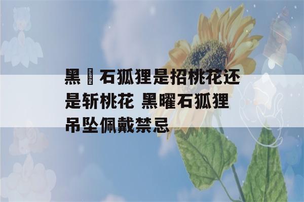 黑矅石狐狸是招桃花还是斩桃花 黑曜石狐狸吊坠佩戴禁忌