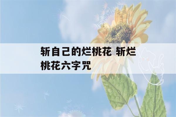 斩自己的烂桃花 斩烂桃花六字咒