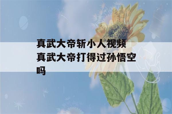 真武大帝斩小人视频 真武大帝打得过孙悟空吗