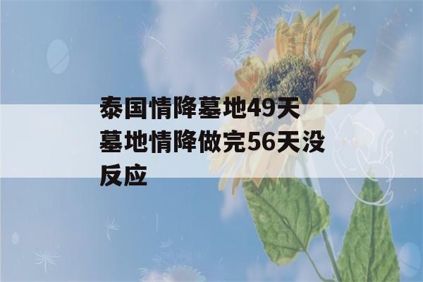 泰国情降墓地49天 墓地情降做完56天没反应