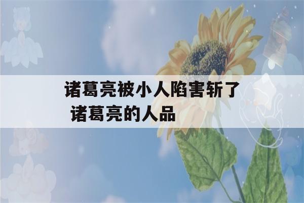 诸葛亮被小人陷害斩了 诸葛亮的人品