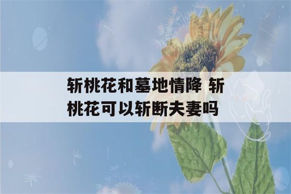 斩桃花和墓地情降 斩桃花可以斩断夫妻吗