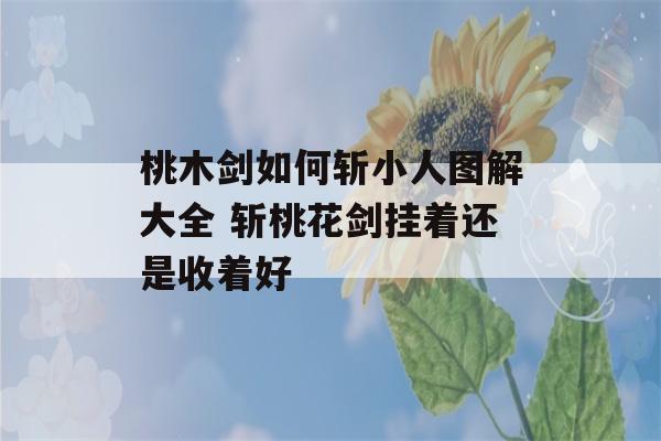 桃木剑如何斩小人图解大全 斩桃花剑挂着还是收着好