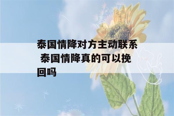 泰国情降对方主动联系 泰国情降真的可以挽回吗